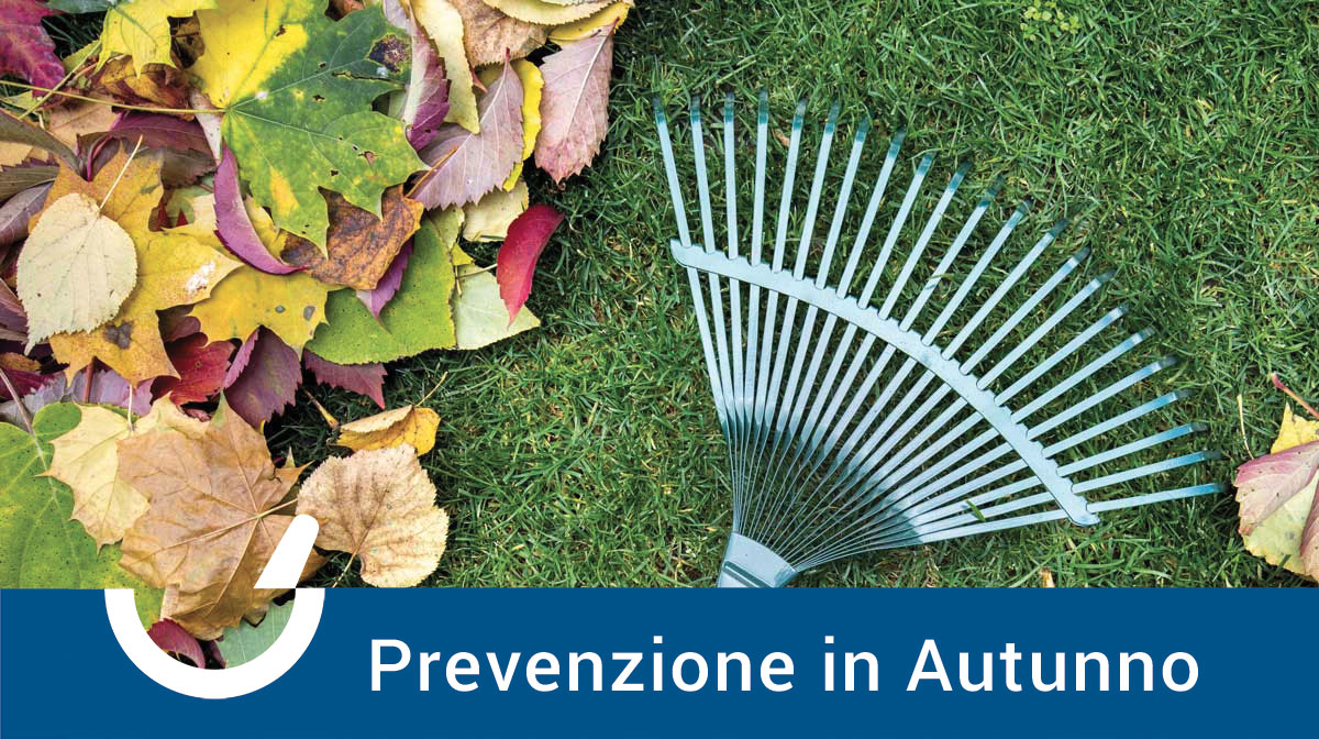 Prevenzione in Autunno: Come Proteggere la Salute con l’Arrivo dei Primi Freddi