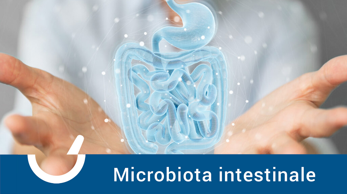 Il Microbiota Intestinale: L’Equilibrio che Influenza la Salute